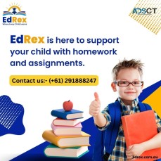 Mastering the Art of  Best Online Tutoring: Top Qualities to Look For