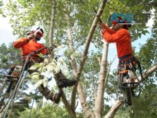 Get Quality demolition Sydney - Anesti Excavation & Demolition