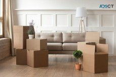 North Shore Removals