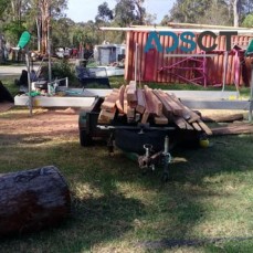 Wood Chipping Logan | Tree Pruning Logan