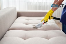 CBD Couch Cleaning Adelaide