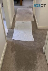 Effective Water Damage Restoration Melbourne Services