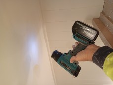 Affordable Professional Painter 