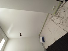 Affordable Professional Painter 