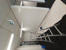 Affordable Professional Painter 