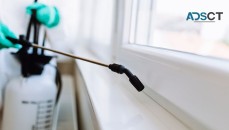 Pest Control Sydney