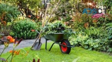 Land Clearing Sydney