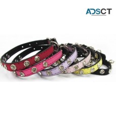 Pet Accessories At Wholesale Prices 