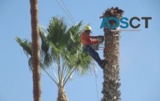Gardening Services Sydney