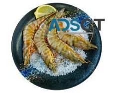 Adelaide Seafood - Freshest Seafood