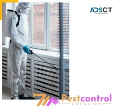 711 Pest Control Adelaide