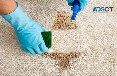 Tough stains? No problem. DeVere Restorations has you covered