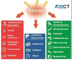 Best stilnox for sleep