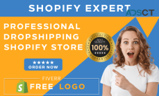 I will build shopify store dropshipping 