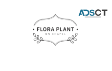 Flora Plant on Chapel