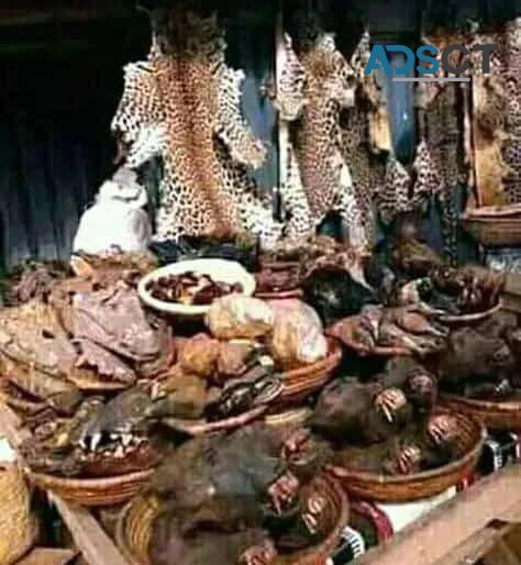 The best powerful native doctor in Nigeria chief Ifatunde Ajewamiri+2348117855171