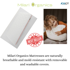  Is Non Toxic cot mattress are available