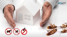 Top Pest Control Services in Melbourne