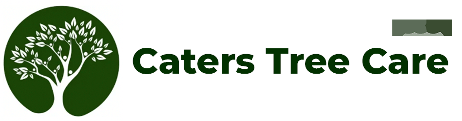 Caters Tree Care – Arborists in Northern NSW