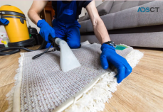 Melbourne's Top Carpet Steam Cleaners