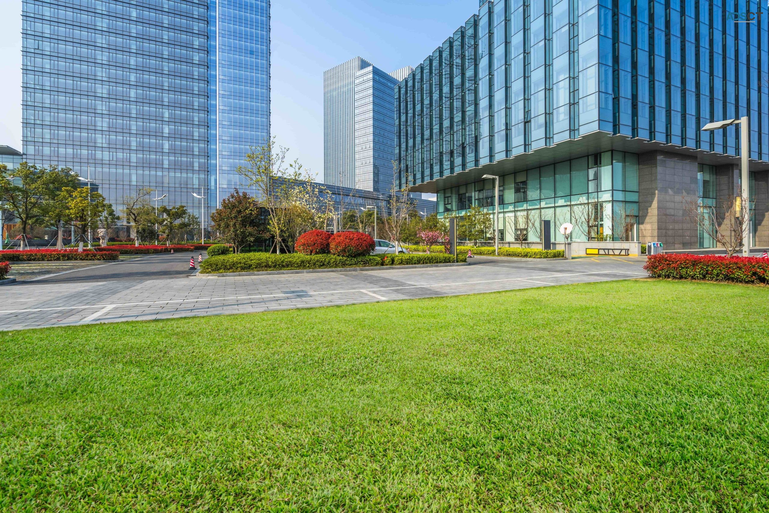Landscape Construction Trends: What's New in Outdoor Design