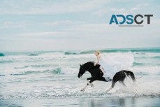 Capture Every Magical Moment with Wedding Photography Melbourne