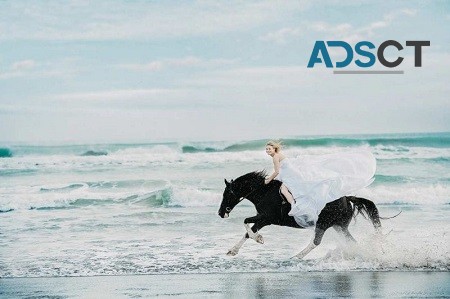 Capture Every Magical Moment with Wedding Photography Melbourne