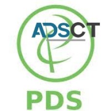 pioneerdigisolutions