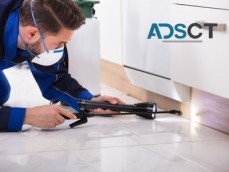 Mark's Pest Control | Pest Control Melbourne