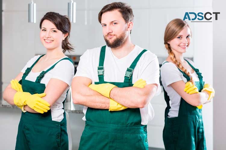 Sunshine Cleaners: Your Go-To Cleaning Experts in Brisbane