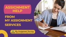 Get the Best Assignment Help Services 