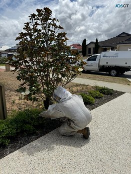 Enviro Pest Control Perth