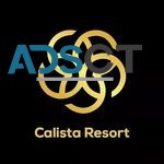 Luxury wedding destination in delhi