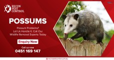 Best Pest Control in Melbourne