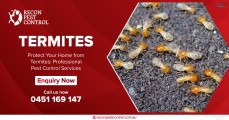 Best Pest Control in Melbourne