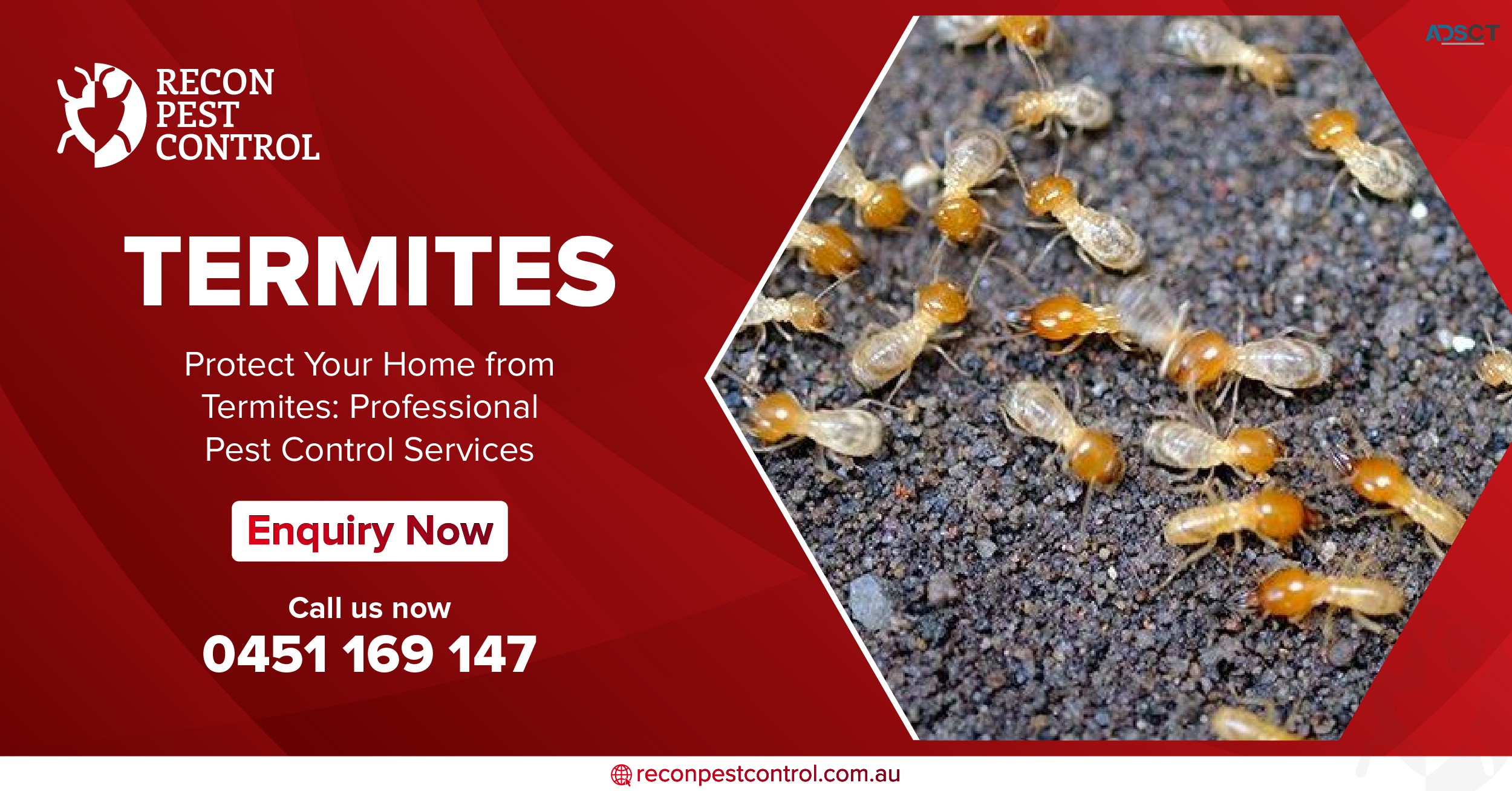 Best Pest Control in Melbourne