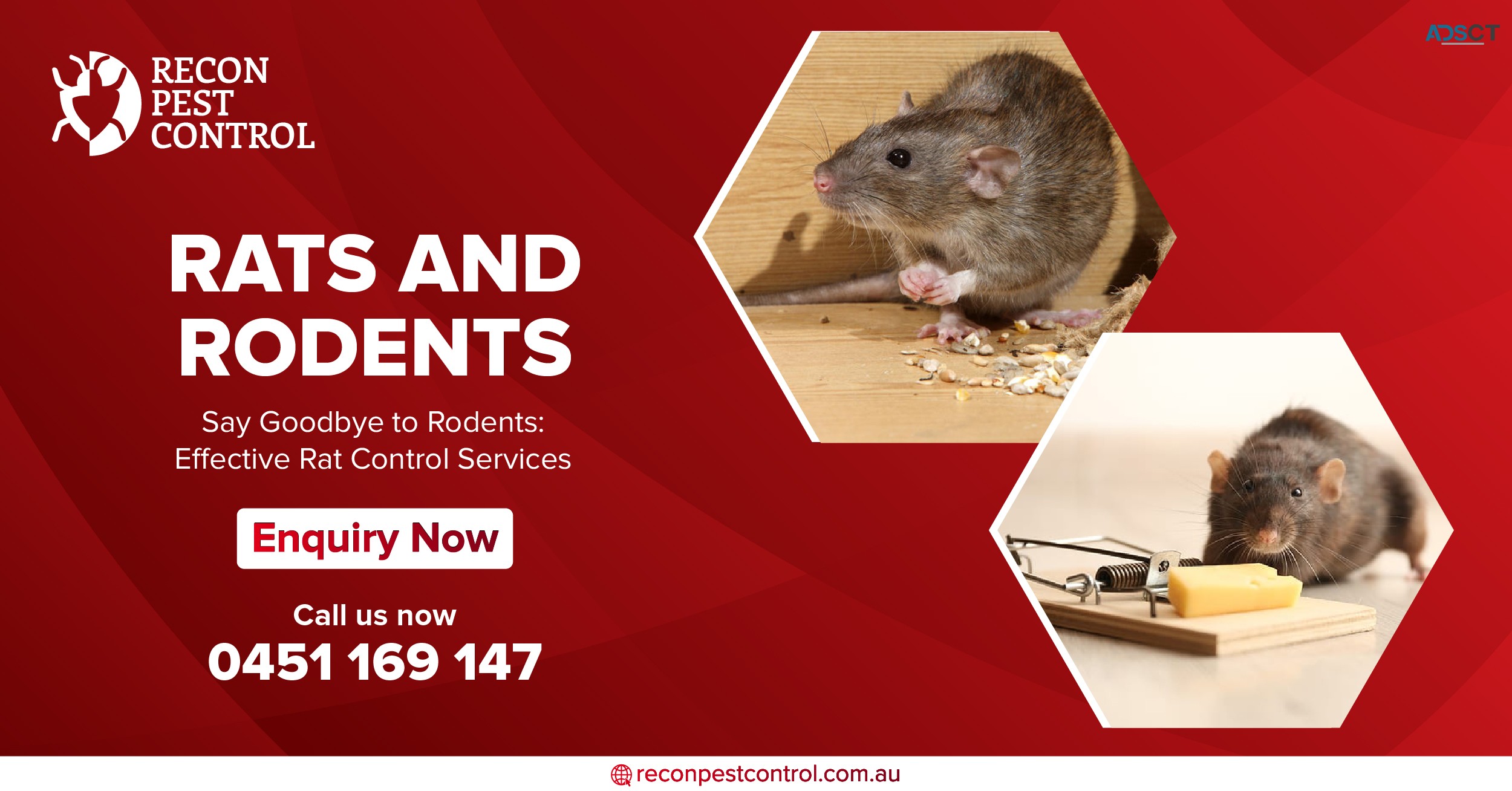 Best Pest Control in Melbourne