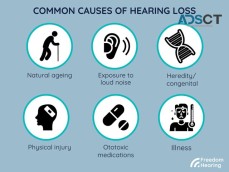 Hearing aid accessories