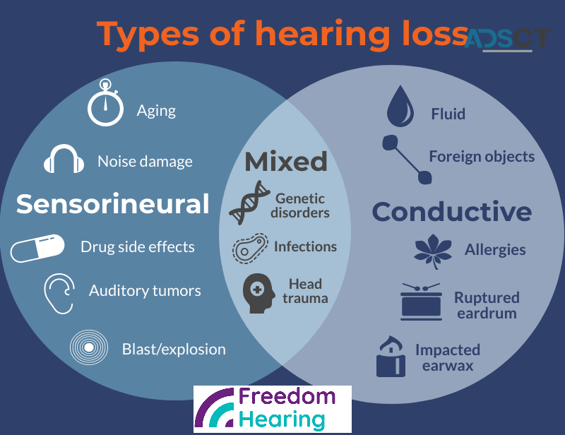 Hearing aid accessories