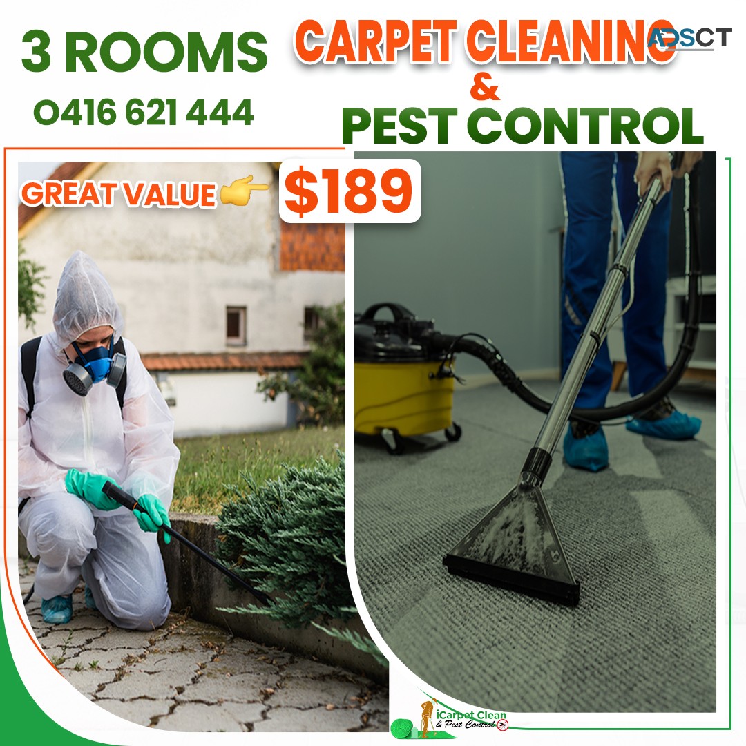 Carpet Cleaning Logan | Mattress Cleaning Logan |iCarpet Clean and Pest Control