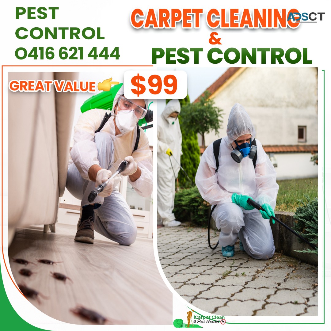 Carpet Cleaning Logan | Mattress Cleaning Logan |iCarpet Clean and Pest Control