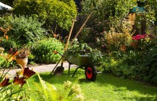 Professional Garden Rubbish Removal Serv