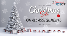 Are You Looking For Online Assignment Help This Christmas? Check This Out!