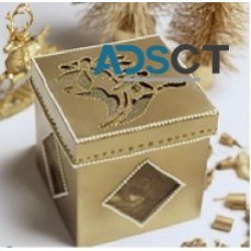 AROGYAM PURE HERBS ALLERGY CURE KIT