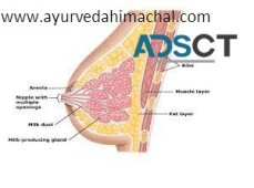 AROGYAM PURE HERBS BREAST UPLIFTING KIT