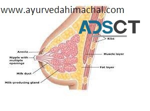 AROGYAM PURE HERBS BREAST UPLIFTING KIT