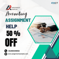 Accounting Assignment Help Guide: Navigate the Numbers Mastery