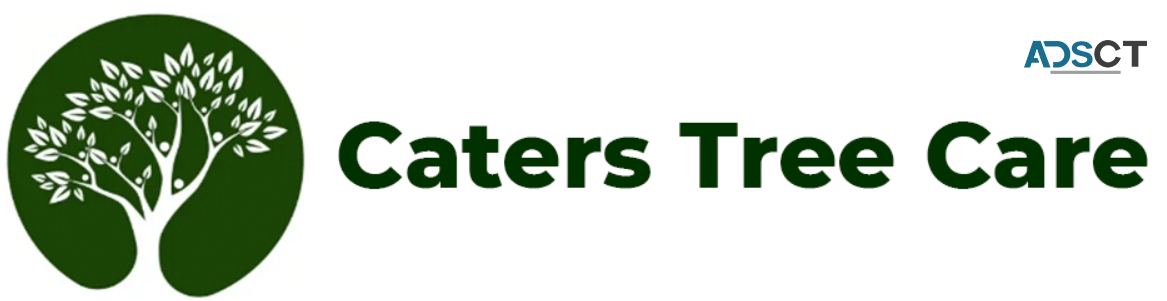 Tree Removal – Caters Tree Care
