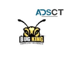 Pest Control Kenilworth | Bug King