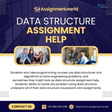 Expert Data Structure Assignment Help